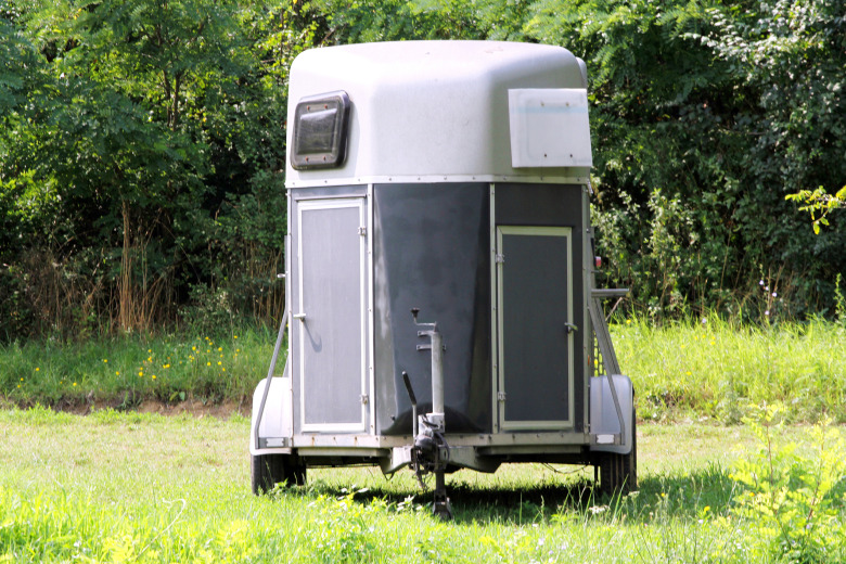 Hästtransport i krock med bil