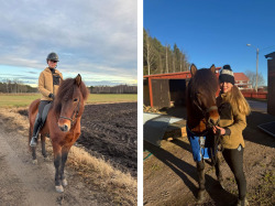 Molly-och-brynjar-fra-bakkakoti