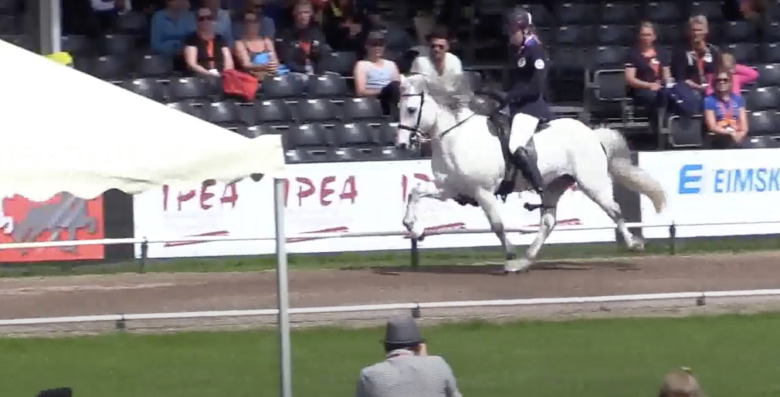 Héðinn frá Feti död