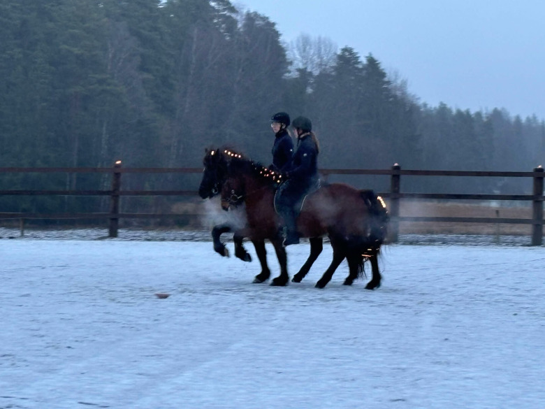 Tenglagården samlade in 25 000 kronor till Hjärnfonden