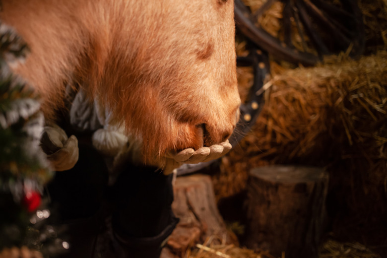 Julklappar till hästfolk – inspiration och idéer