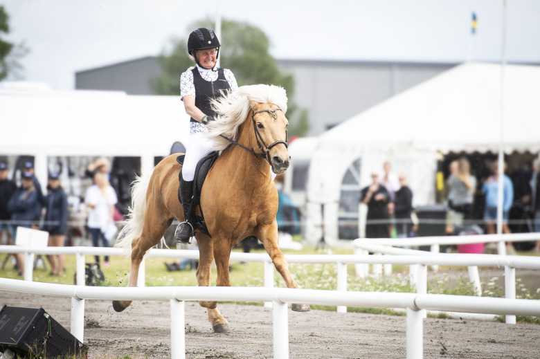 21 år tillsammans – från föl till tävlingshäst