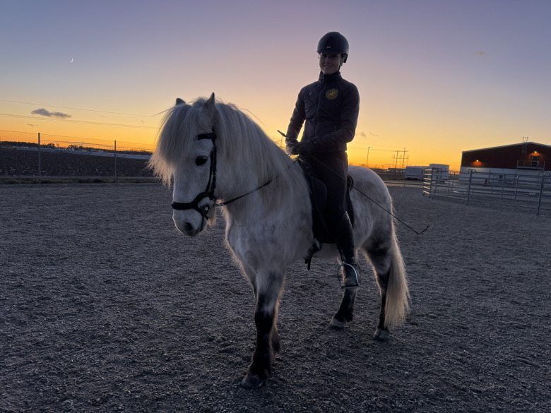 ”Med en till häst ser jag nya sätt att kunna höja min kapacitet”