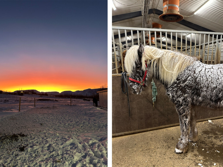 Efter tre månader hos Mette Mannseth: ”Allt är en process”