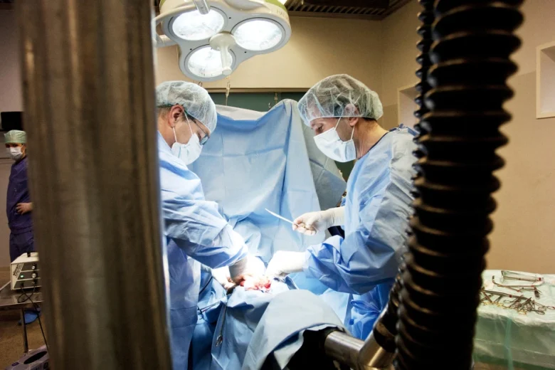 ”I dag har kolikhästarna 85-90 procents överlevnad”