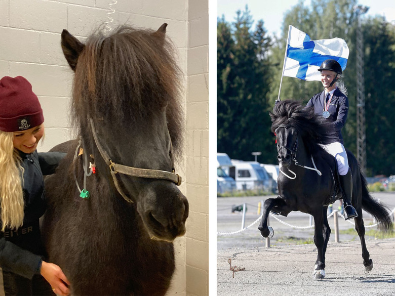 Mästerskapshästen överlevde tarmoperation: ”Väldigt tacksam över att ha fått en ny chans”