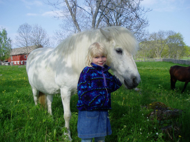 Islandshästen Aska blev 39 år