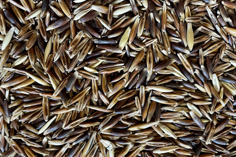 Trendig havre eller korn?