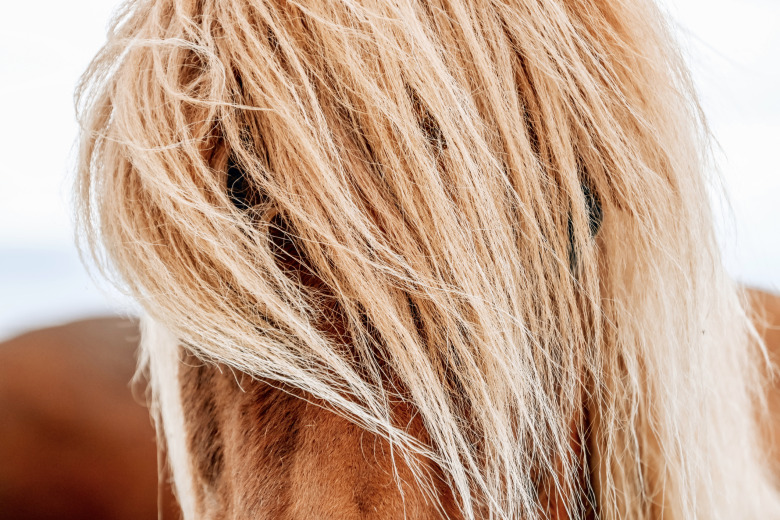 Auktion till stöd för familjen efter tragiska dödsolyckan