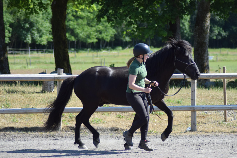 Isabella täpper igen kunskapsluckor i hästbranschen