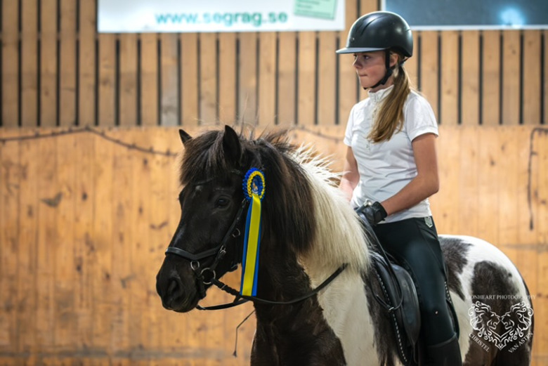 Gandur Icelandic Horse Show: ”Vi tänkte stort, men i mindre format”