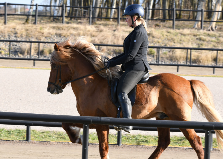 Jenny Göransson: ”Varje ridpass är unikt”