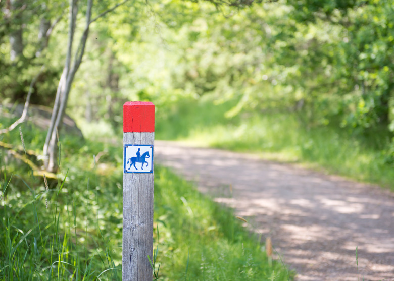 Ridled i Sörmland läggs ned