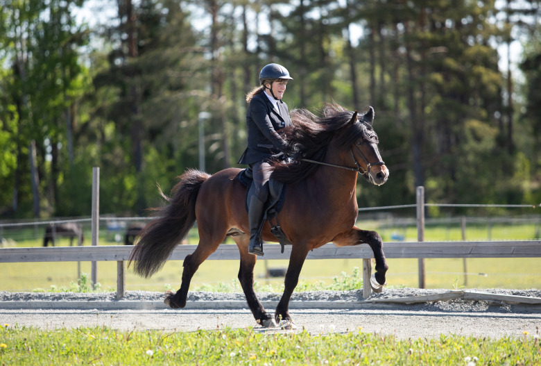 Camilla Rolfsdotter självkritisk efter årsdebuten: ”Kanske inte bad om mer”