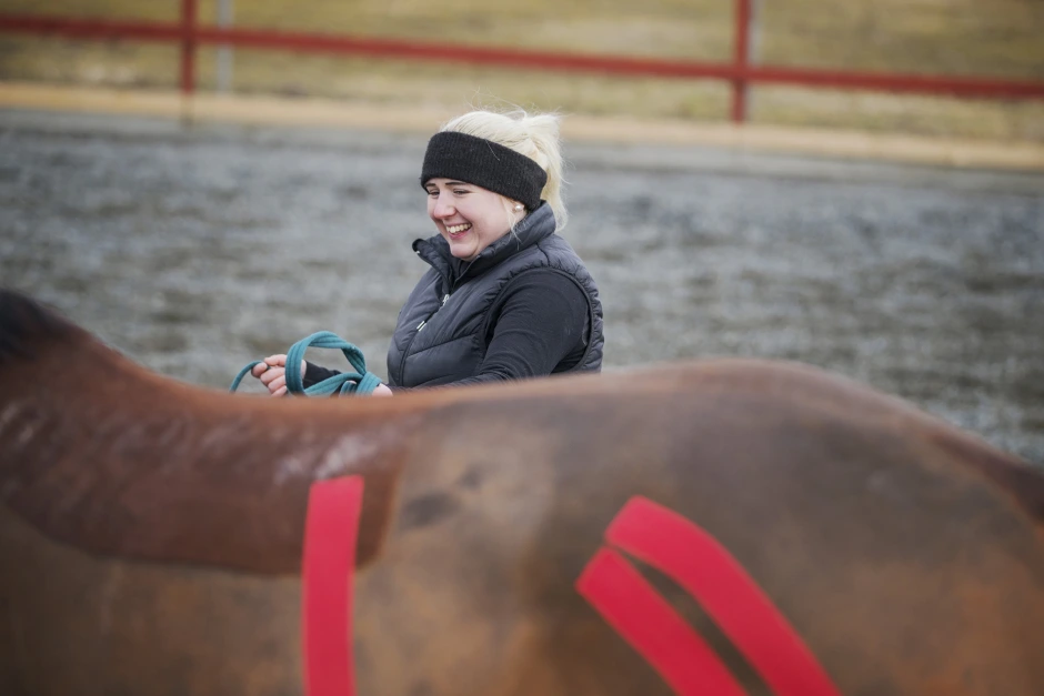 Rebeckas projekt: PT för fölston