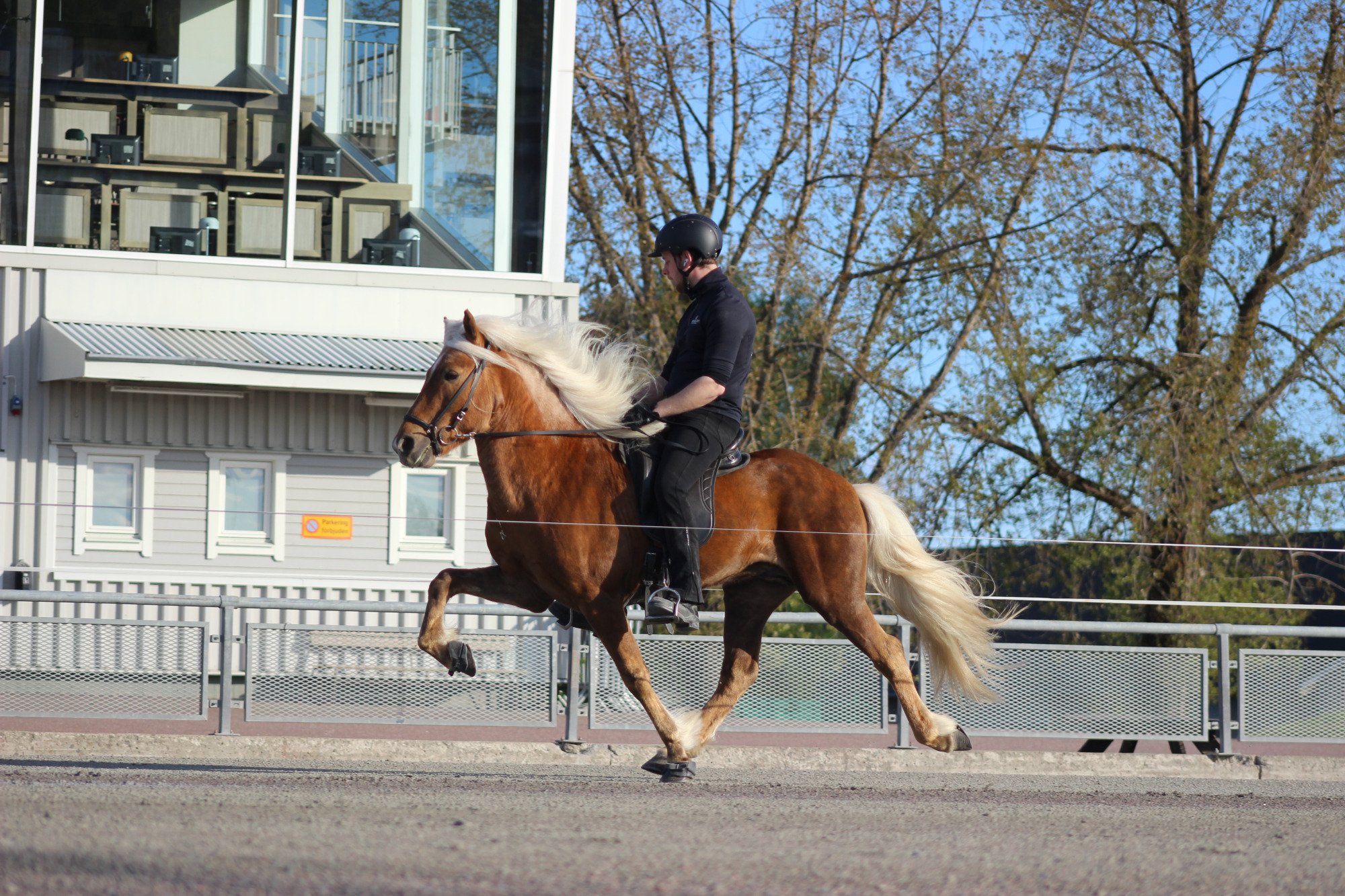 Drifandi Fra Saudarkroki