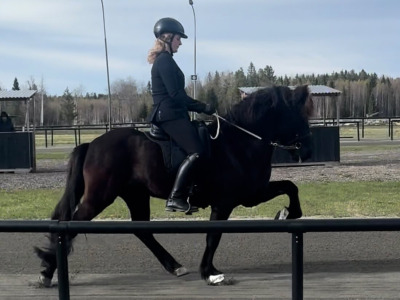 Två placeringar till Arion och Emma De Carro på Rickebasta