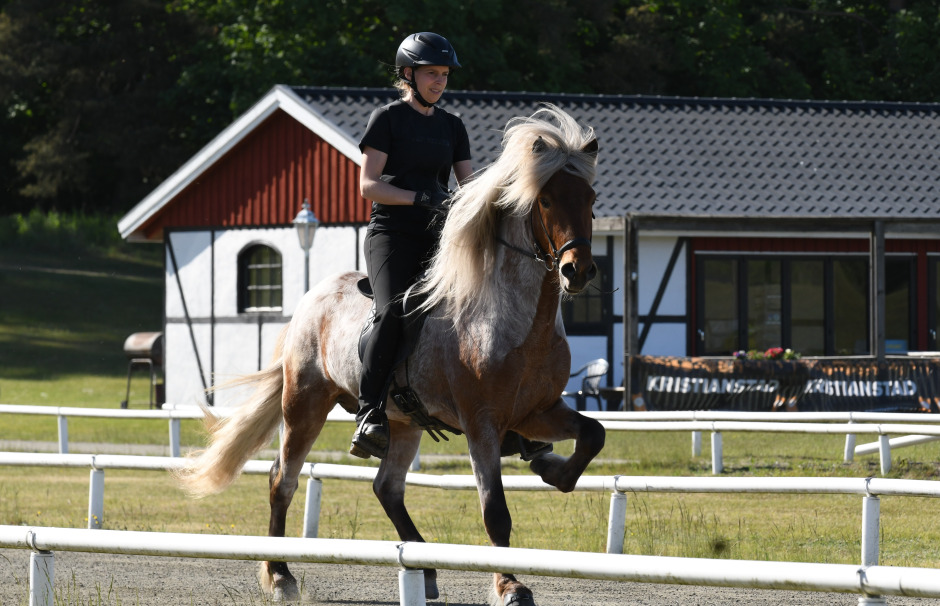 Frauke Schenzel om att visa fyraåringar: ”Ett val som behöver göras ansvarsfullt”