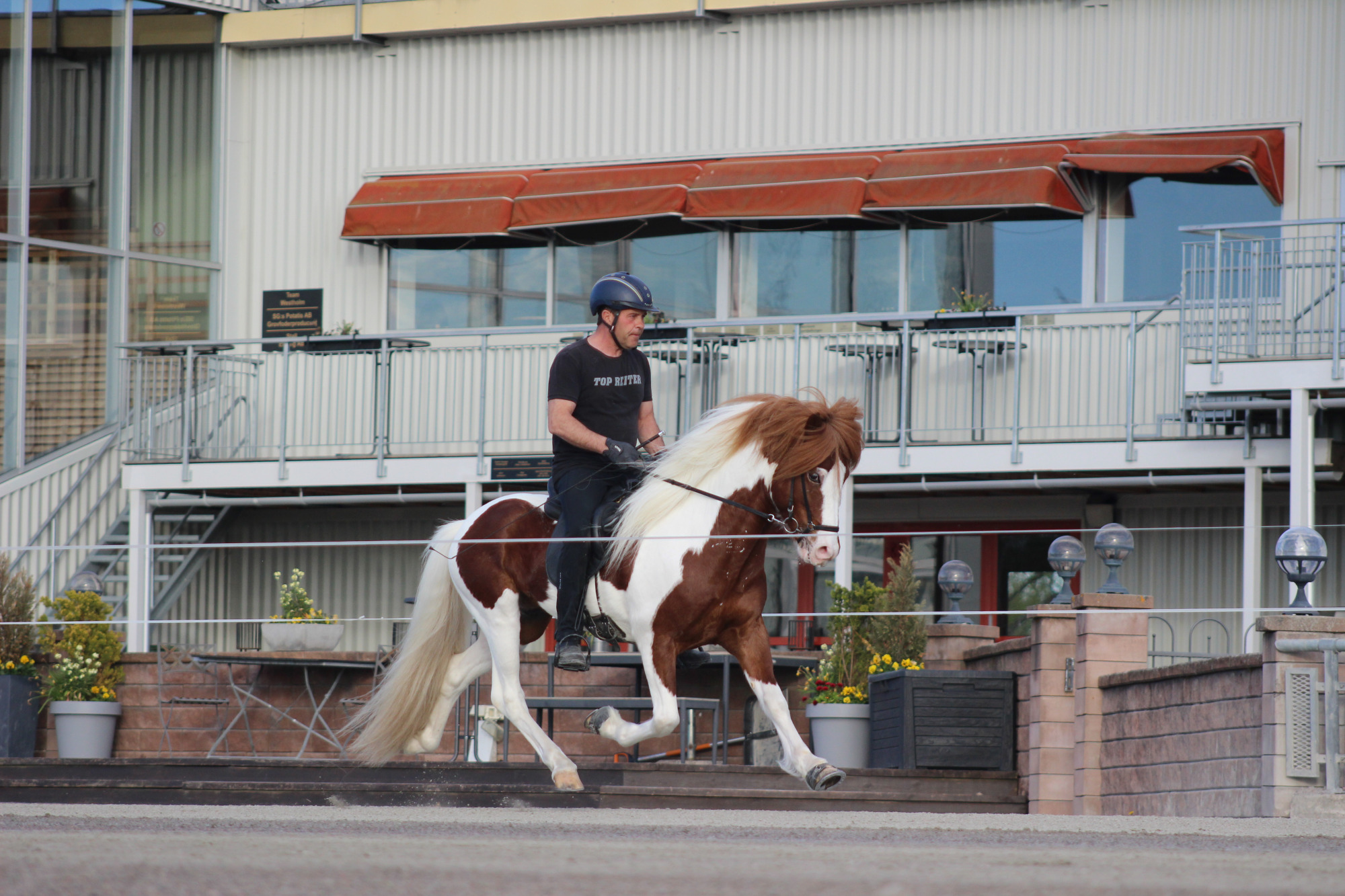 Gardur Fr&aring;n Segersg&aring;rden 4
