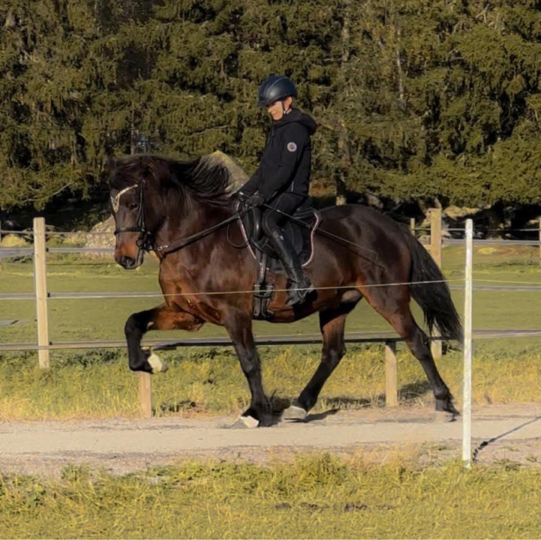 Amanda Oliver: ”Tack vare ridningen som jag fortfarande kan gå”