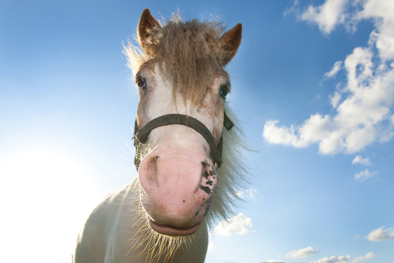 Se upp för solbränna