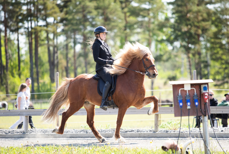 Kelly Eriksson startar verksamhet på egen gård