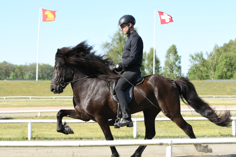 Margaretehof: 10 för ridbarhet och svensk konkurrenskraft