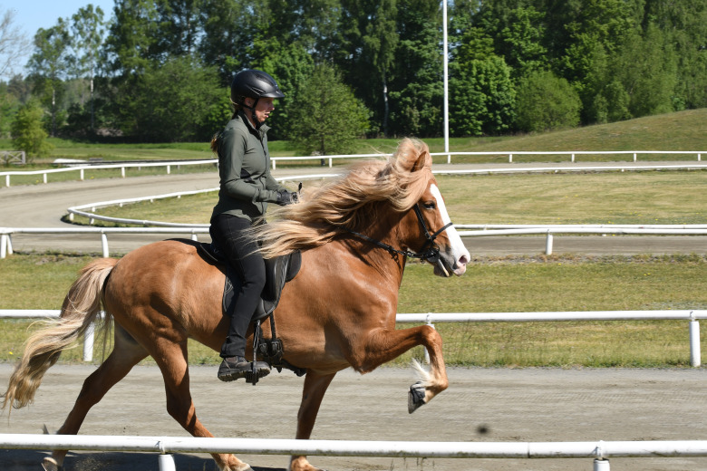 Margaretehof: Ytterligare en ridbedömning i världsklass – 9,11