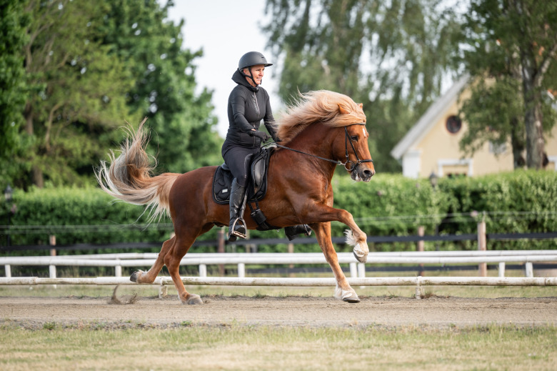 Oväntade segrar på Margaretehof