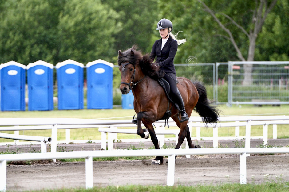 Tova Ivarsson gör sista året som young rider – klar för SM med tre hästar
