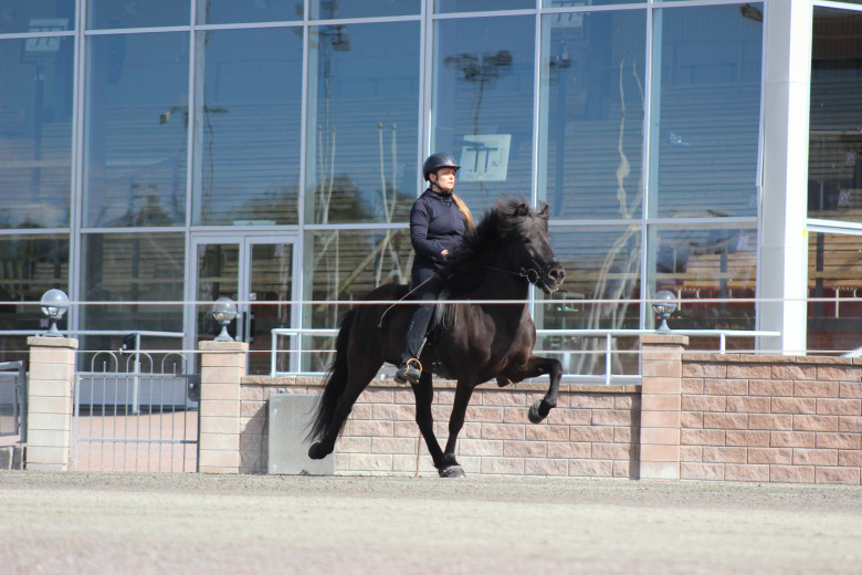 Emma Karlsson: ”Försökt hålla mig till mitt system”