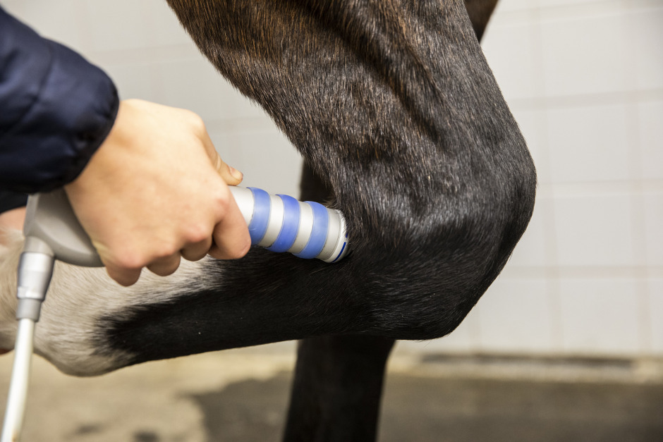 Olika regler för ersättning av stötvågsbehandling