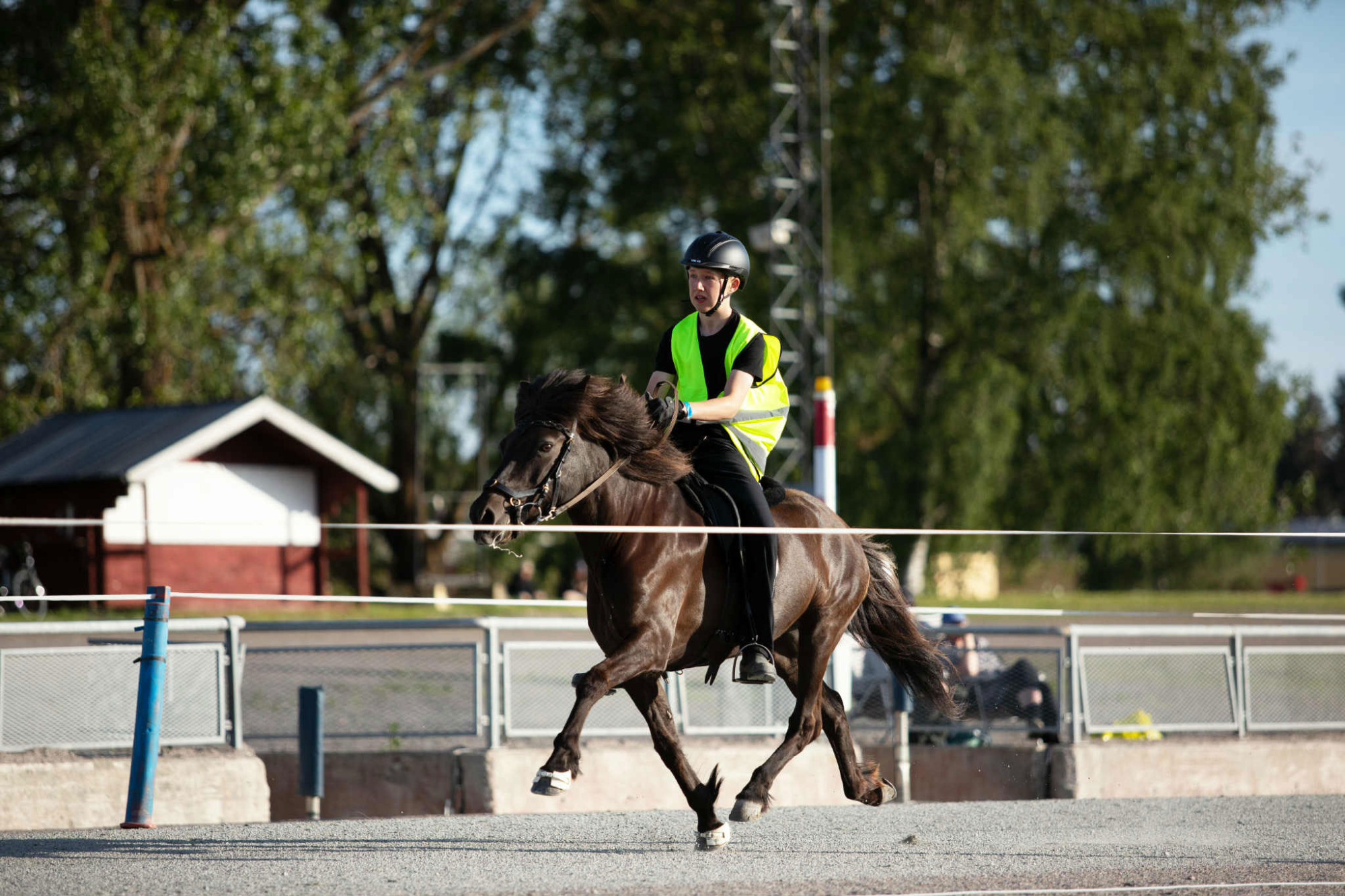 Anton-wessbergh-rökkvadis