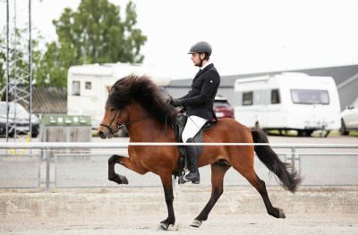 Axevalla: Fyra hästar över 8