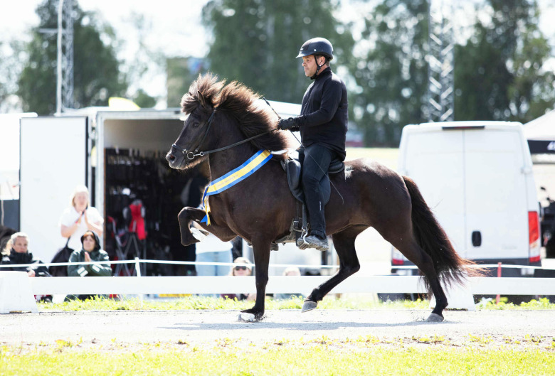 Här är resultaten från svenska avelsmästerskapen 2025