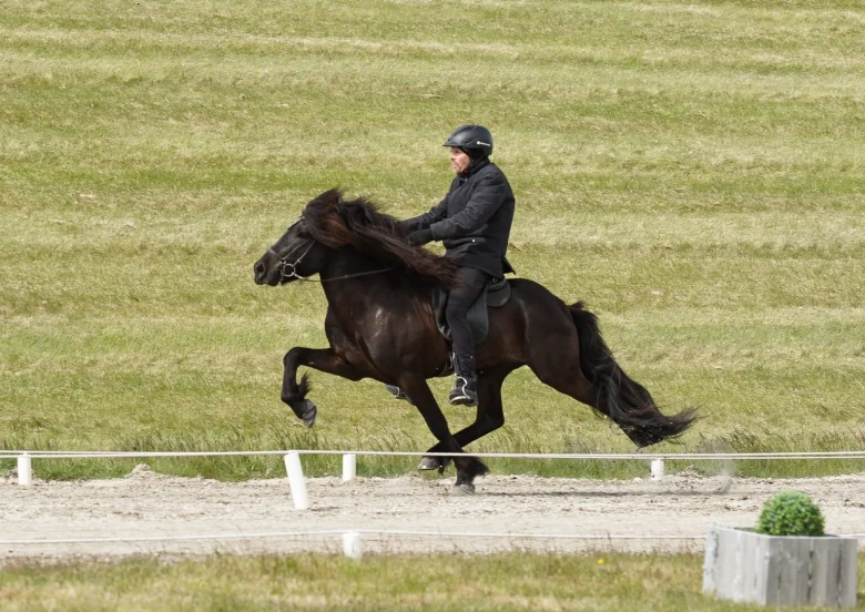 Världens högst bedömda 5-åring – Dalvar frá Efsta-Seli skriver historia