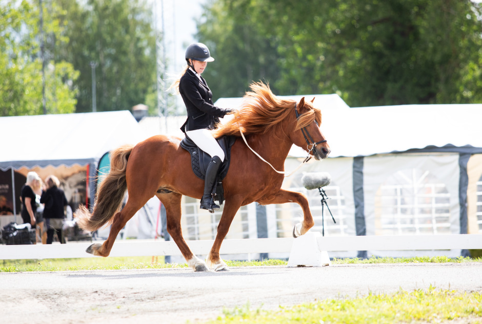 Filippa om rollen som catch rider: ”Det är en win-win”