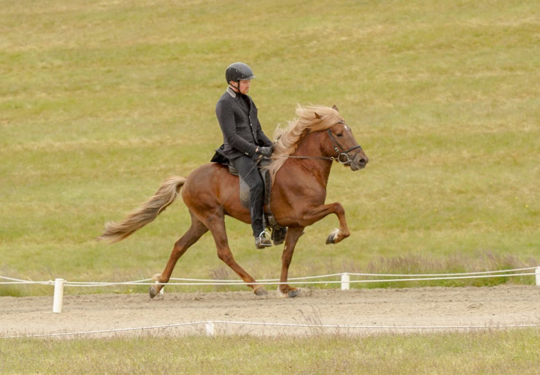Svenskägd 4-åring bedömd till 8,21 på Island: ”Jätteglada”
