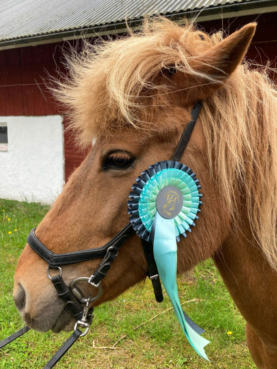 Frigg samlade in pengar till Myanmar