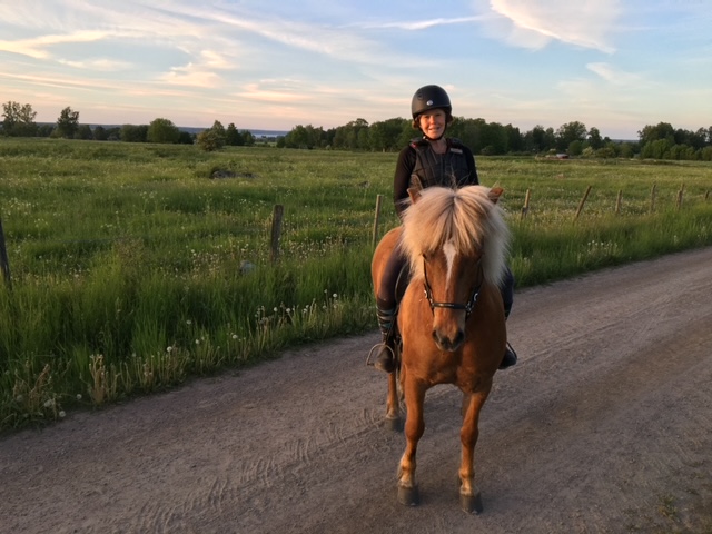 Vem betalar priset när försäkringsvillkor möter verkligheten?