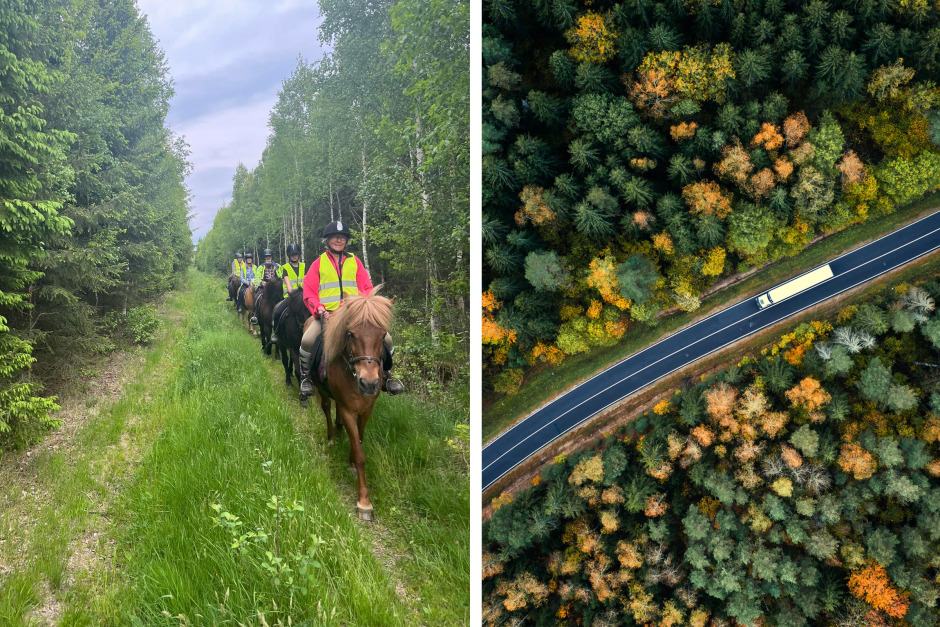 ”Vi blev så lättade” – tusentals hyllar chauffören som stannade för hästekipage