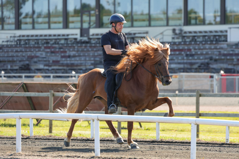 Bildextra: Avelsbedömningen på Axevalla