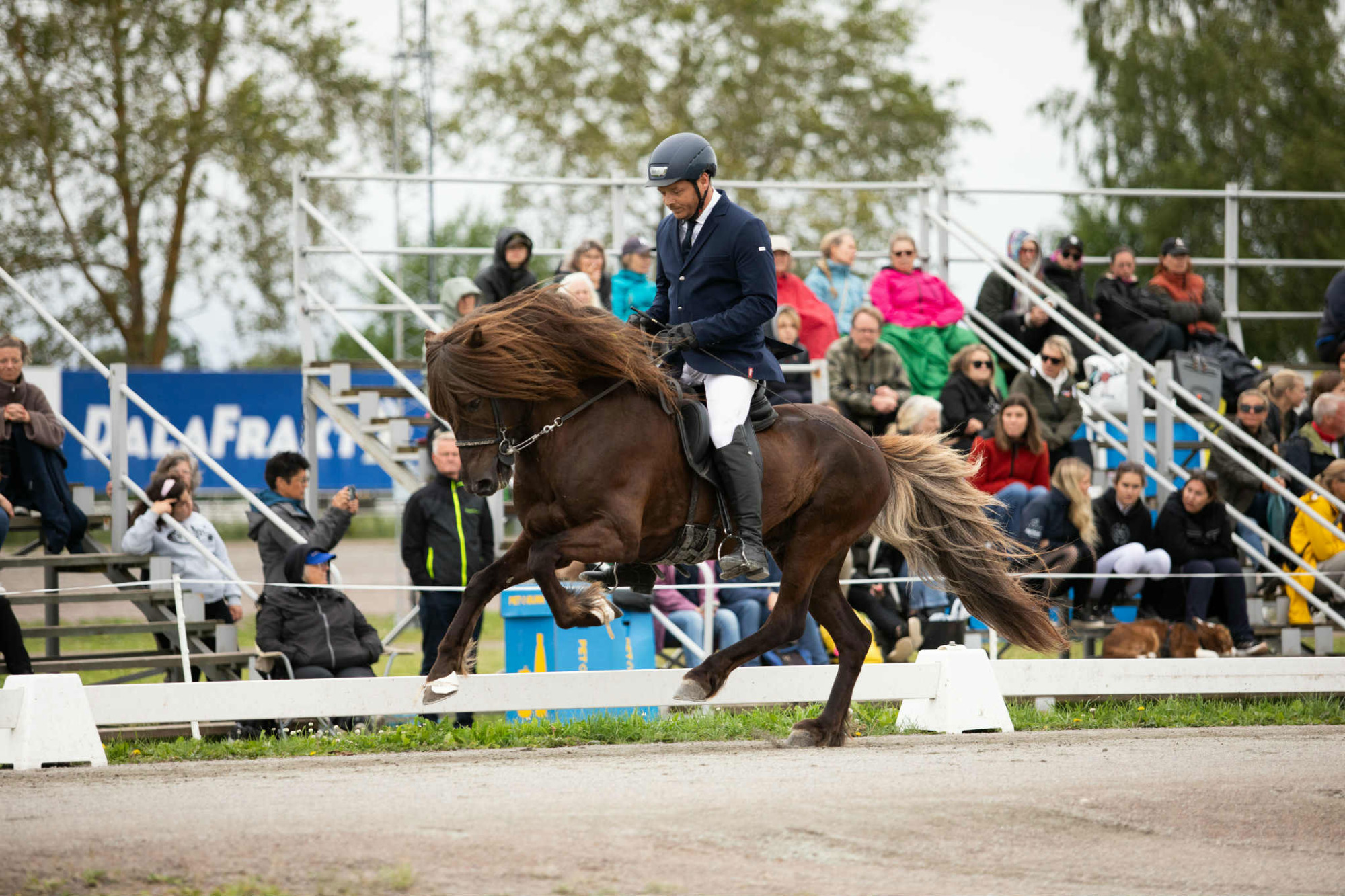 Kristjan-magnusson-matthias
