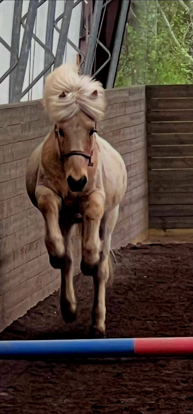 L&ouml;shoppning Maj 2025