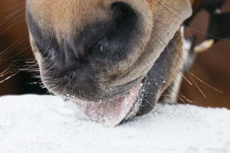 Många frågor kring ledtillskott