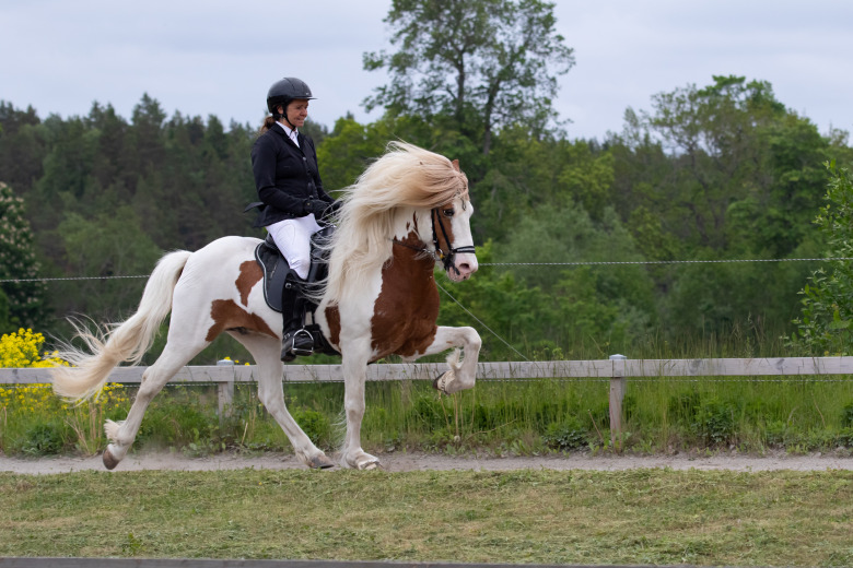Maria Berg satsar med Toppurson: ”Jättestor betydelse”