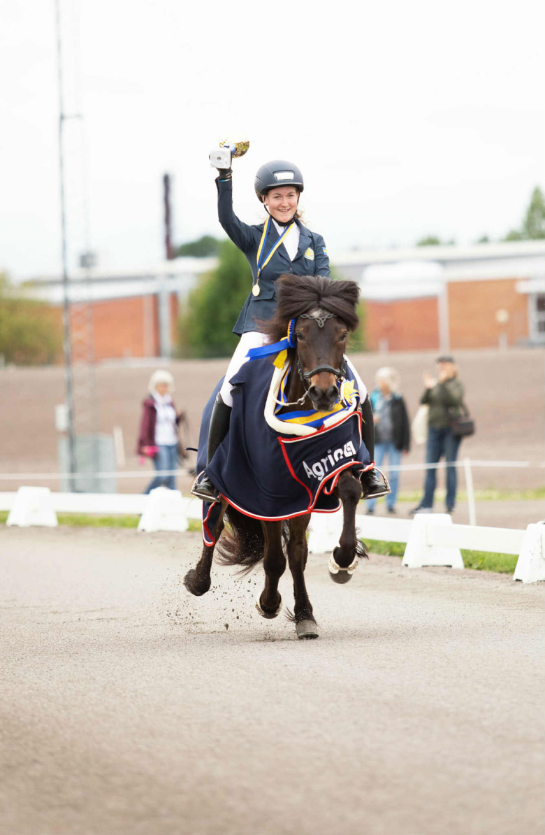 Svenska islandshästförbundet presenterar utmanartrupp