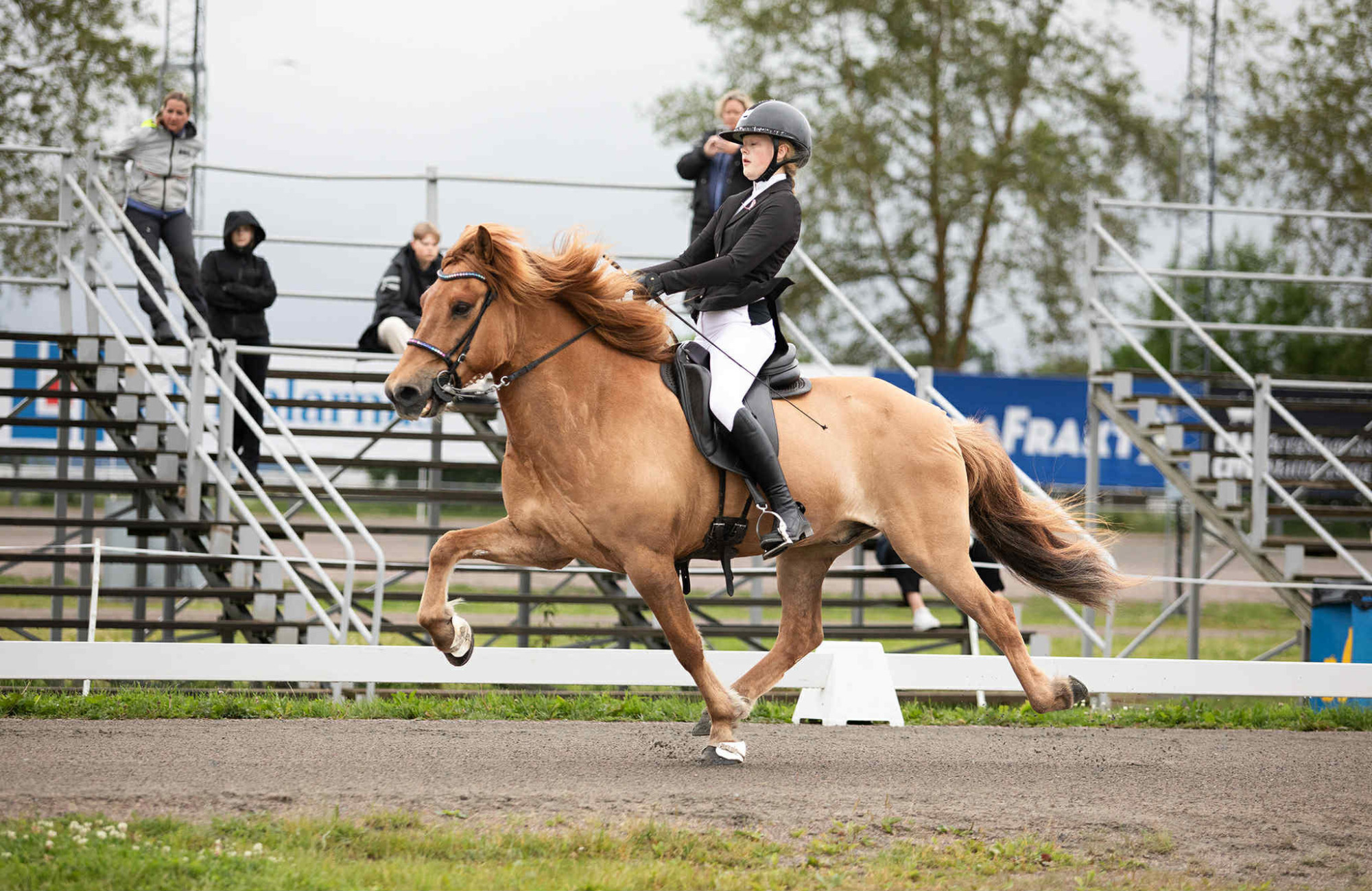 Nike-jakobsson-holmi