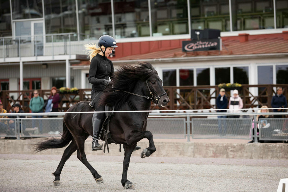 Olivia Agerhill gjorde debut på avelsbanan – på avels-SM: ”Jättekul”