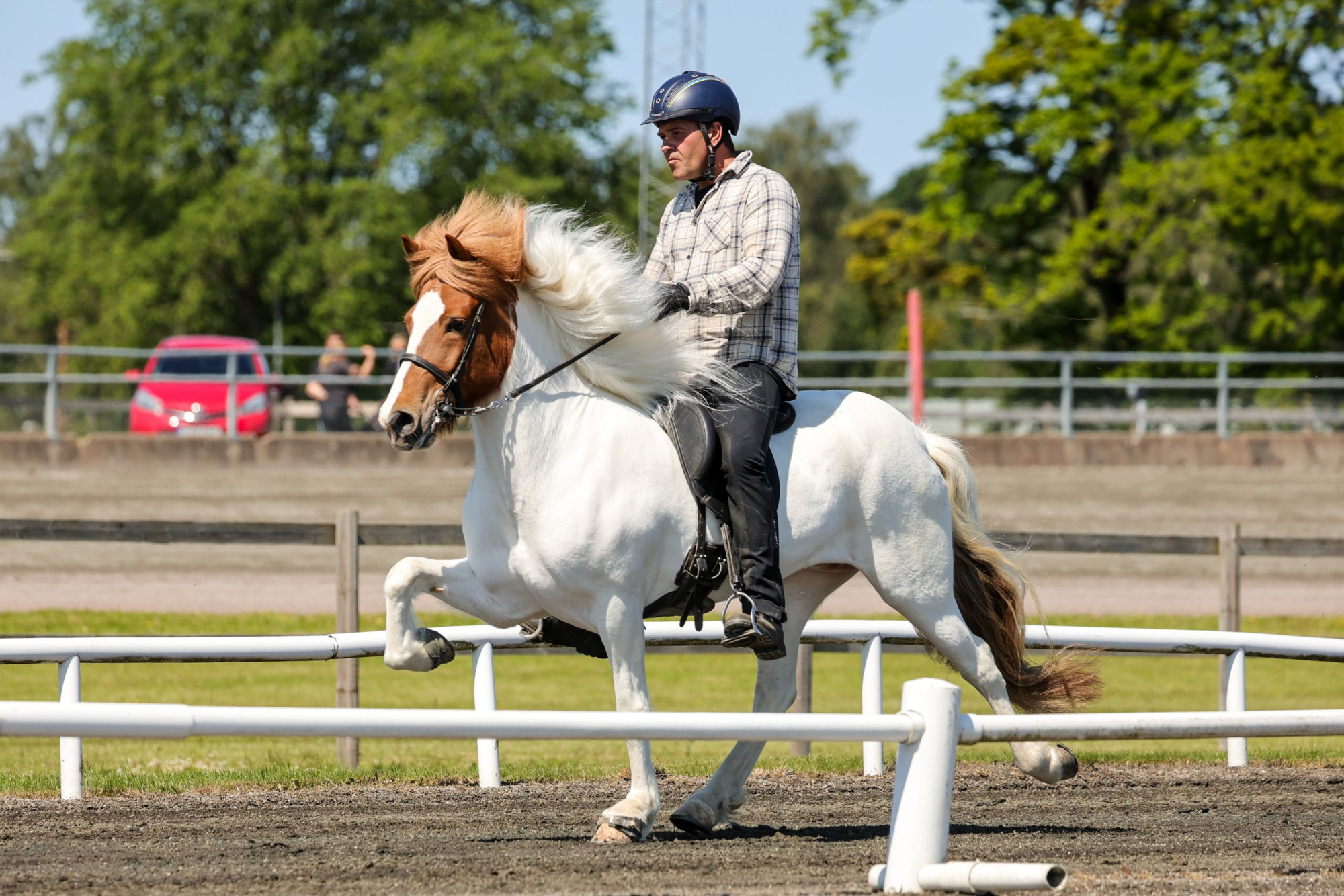 FRI ANV&Auml;NDNING 1 &Aring;R Rau&part;hetta Fr&aacute; Kringlulandi Erlingur Erlingsson
